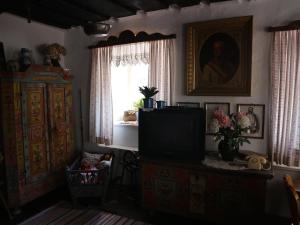 salon z telewizorem i oknem w obiekcie Romantikhaus Hufschmiede w mieście Engelhartszell