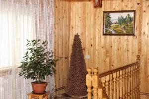 Fotografie z fotogalerie ubytování Cottage Milena v destinaci Mykulyčyn