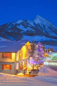 a house with a christmas tree in front of it at Nordic Inn in Crested Butte