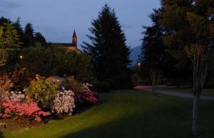 A garden outside B&B Le Camelie