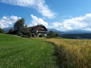 una casa en una colina con un campo y una carretera en Lassacher Biobauernhof, en Mariapfarr
