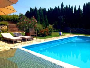 una piscina en un patio junto a un jardín en Bella Vendégház Palkonya, en Palkonya