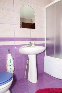 コルベニにあるRustic Argeseanのバスルーム(洗面台、トイレ、鏡付)