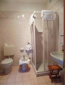 ブレンゾーネにあるPiccolo Hotel Direkt am Seeのバスルーム(シャワー、トイレ、シンク付)