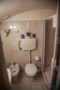 ein Bad mit einem WC, einem Waschbecken und einer Dusche in der Unterkunft B&B Paradiso San Vincenzo in Molfetta