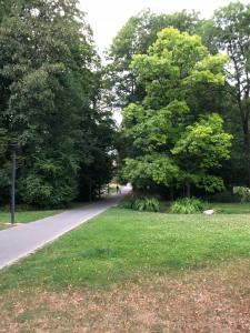 コンスタンツにあるホテル ビルガー エックの木々や芝生が茂る公園内の小道