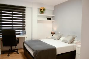 1 dormitorio con cama, escritorio y silla en Piso en La Ciudad de Artes, en Valencia