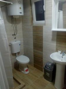 a bathroom with a toilet and a sink at Mountain Villa Petkoski in Ohrid