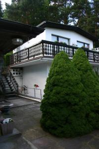 un grand bush vert devant une maison dans l'établissement Ferienwohnung Am See 55, à Bad Saarow