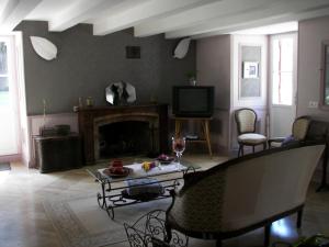 a living room with a fireplace and a tv at Domaine du Noble in Saint-Jean-de-Thurac