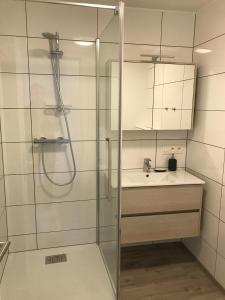 La salle de bains est pourvue d'une douche et d'un lavabo. dans l'établissement Xperience-Today Eupen, à Eupen
