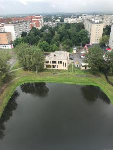 コロムナにあるApartment on Pionerskaya 54の都会の水の景色
