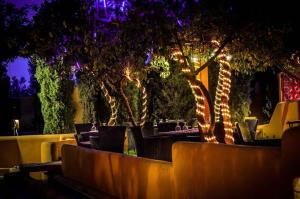 Quetta Serena Hotel外面的花园