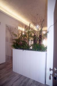 een witte muur met planten in een kamer bij Casa Di Vita in Pescara