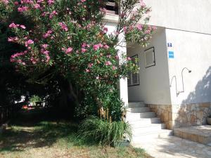 Zahrada ubytování Apartman Nona