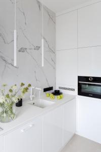 Kuchyňa alebo kuchynka v ubytovaní Apartament Sorello - Katowice Centrum