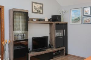TV a/nebo společenská místnost v ubytování Apartment Tonka