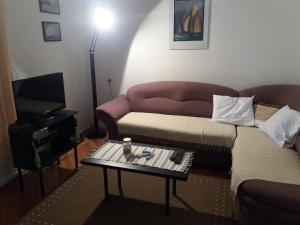TV a/nebo společenská místnost v ubytování Apartman Nona