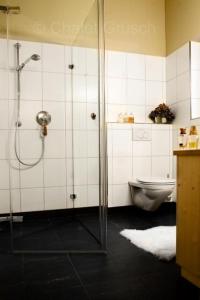 a bathroom with a shower and a toilet at Chalet Grüsch in Grüsch