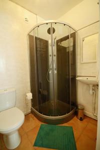 uma casa de banho com um chuveiro, um WC e um tapete verde em La petite soixante deux em Le Lonzac