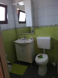 a bathroom with a toilet and a sink and a mirror at Sobe Pavlaković in Ozalj