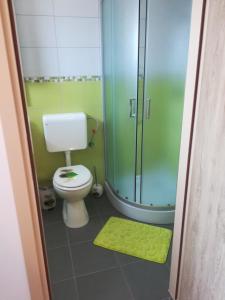 a bathroom with a toilet and a glass shower at Sobe Pavlaković in Ozalj