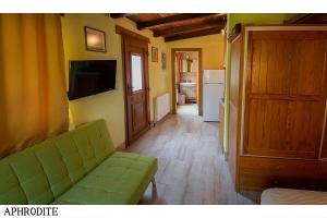 a living room with a green couch and a television at Medusa Gorgon in Develíkia