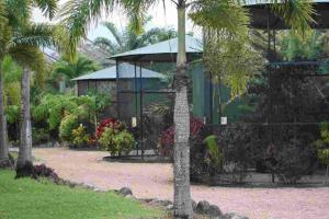 Gallery image of Daintree Wild Bed & Breakfast in Daintree