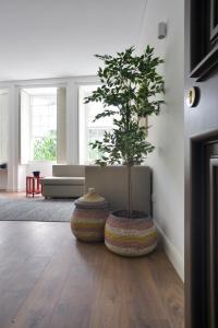 a tree in two large vases on the floor of a room at Spot Apartments Casa Januario in Porto