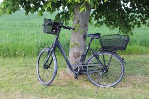 Cycling sa o sa paligid ng Ferienwohnung Amende