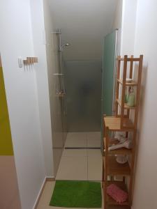 een badkamer met een douche en een groen tapijt bij Zvezdica in Ljubljana