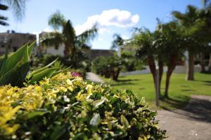 A garden outside Residence Hotel La Giara