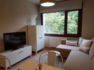 uma sala de estar com um sofá e uma televisão em Apartamentos La Senda de Llanes em Llanes