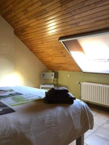 1 dormitorio con 1 cama grande y tragaluz en Les Gîtes "Le Petit Val", en Durbuy