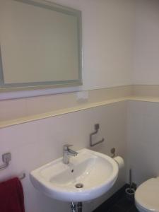 a bathroom with a sink and a mirror and a toilet at Eisenach - Apartments in Eisenach