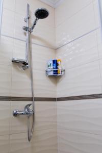 a shower with a shower head in a bathroom at Apartman Boska Lux in Subotica