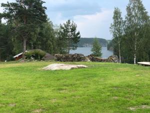 um campo de relva com um lago ao fundo em Forrest Lodge Karelia em Reuskula