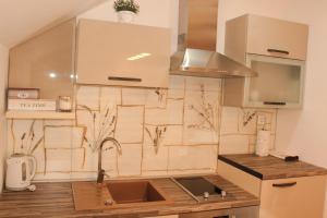 Kuchyňa alebo kuchynka v ubytovaní Studio apartman Lakasa