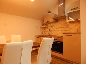 Kuchyňa alebo kuchynka v ubytovaní Studio apartman Lakasa