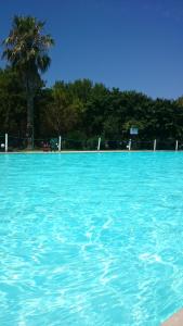 duży basen z niebieską wodą z palmą w tle w obiekcie Agriturismo Torrevecchia w mieście San Pancrazio Salentino