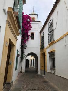 コルドバにあるEl 5 de la Hogueraの花の小路