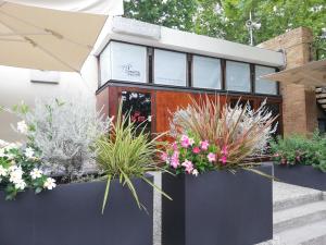 A garden outside Camping Fusina