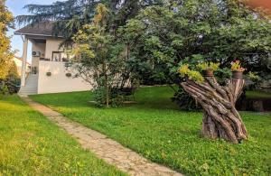 drzewo w trawie obok domu w obiekcie Cvijićeva 1 w mieście Arandelovac