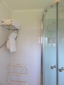 a bathroom with a shower and a glass door at Cabañas Donde La Oma in Villarrica