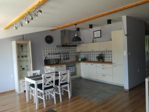 Kuchyň nebo kuchyňský kout v ubytování Apartamenty pod Dzikowcem