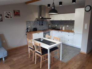 Kuchyň nebo kuchyňský kout v ubytování Apartamenty pod Dzikowcem