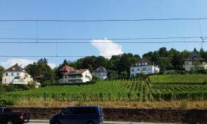un coche aparcado en un aparcamiento con casas y viñedos en City Appartement 5, en Freiburg im Breisgau