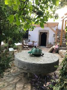 ArmákhaにあるMylopetra Traditional Houseの庭の岩に座る蛙像