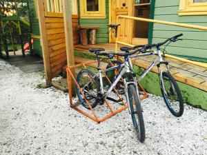Jízda na kole v ubytování 13 Lunas Hostel nebo okolí