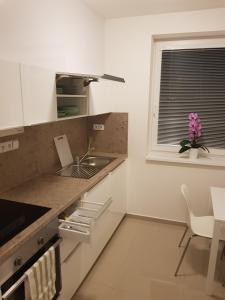 Η κουζίνα ή μικρή κουζίνα στο NEWLY BUILT APARTMENT 5 WITH BALCONY NEAR CENTER